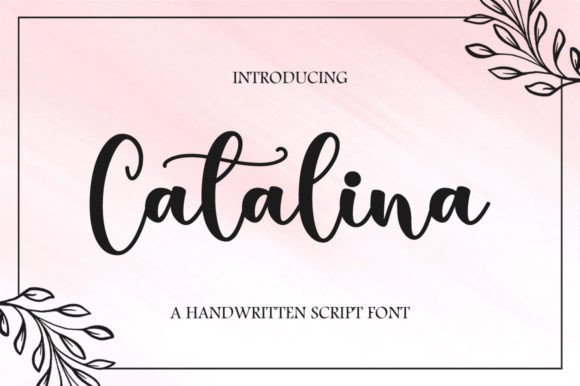 Catalina Font for Timeless Branding