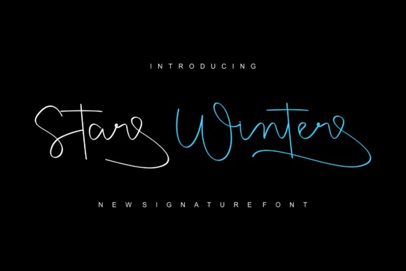 How Starwinter Elevated My Brand’s Visual Identity