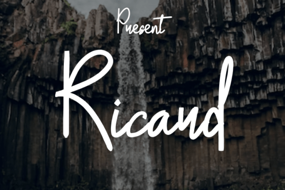Testing Ricard for a Modern Web Design Project